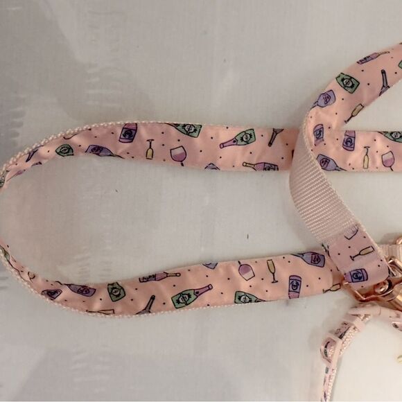 Top Paw Champagne Dog collar XS and Leash set 4 Ft - Picture 2 of 5
